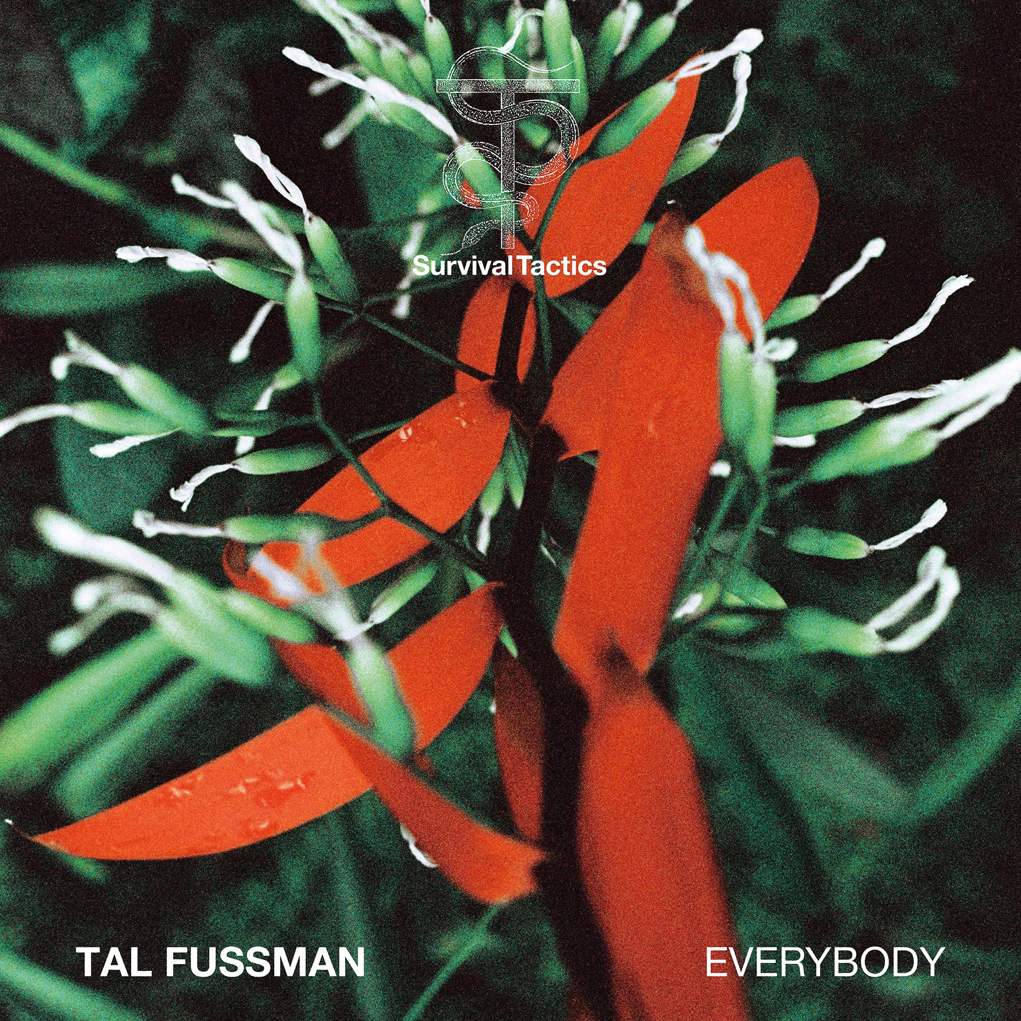 TAL FUSSMAN – Everybody, Vinyl EP