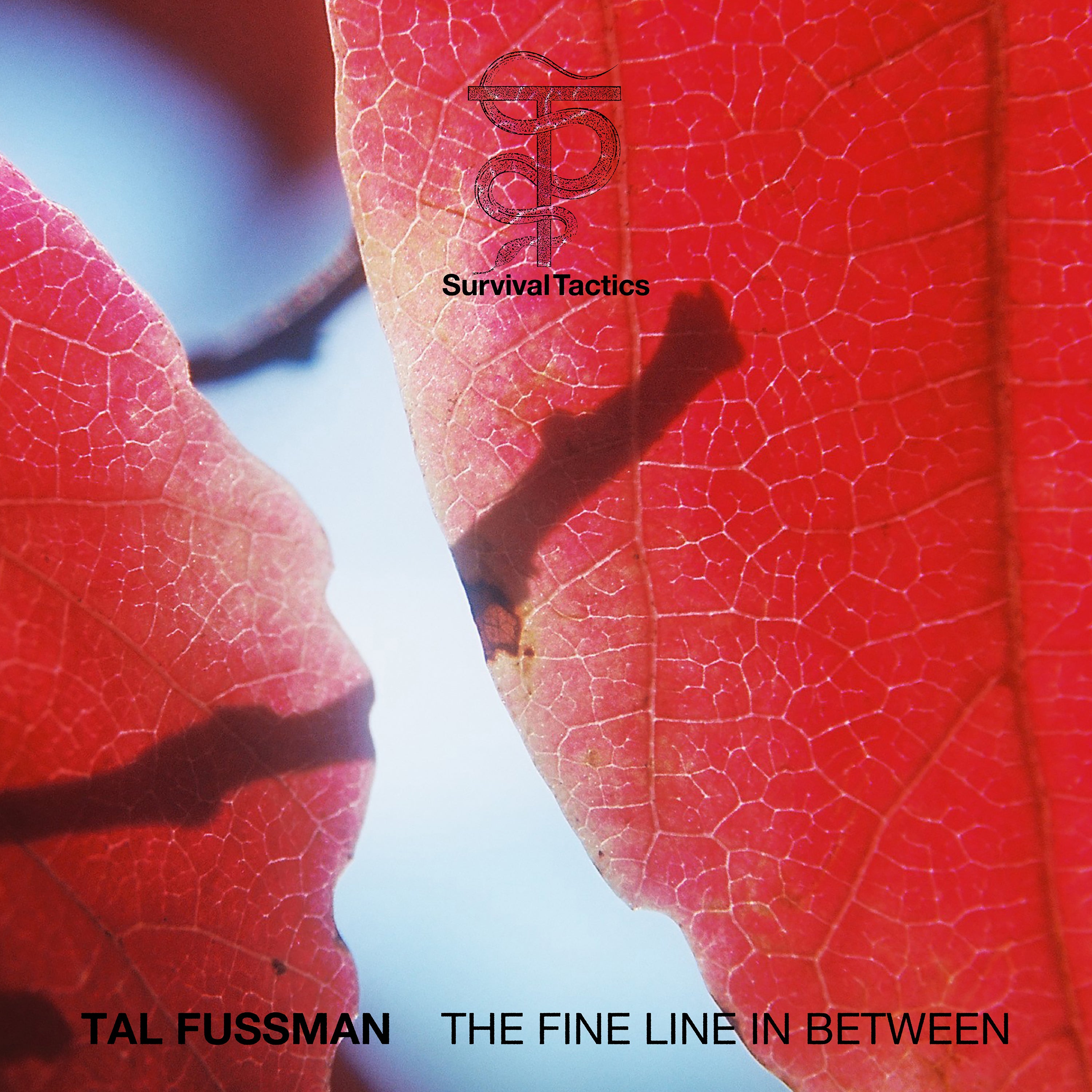 TAL FUSSMAN — The Fine Line in Between, 2x Vinyl LP